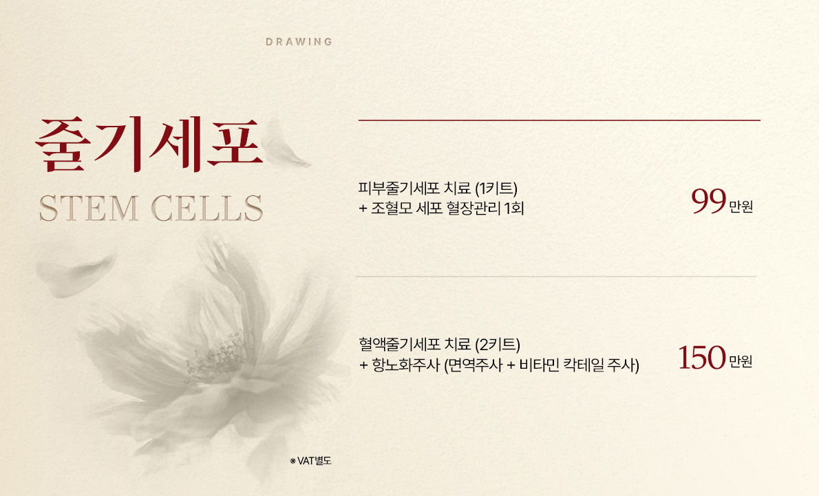 줄기세포