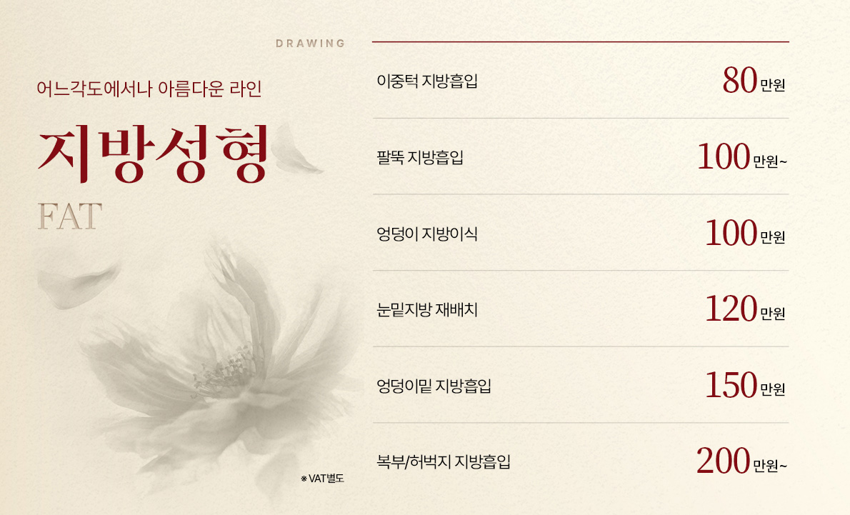 지방성형